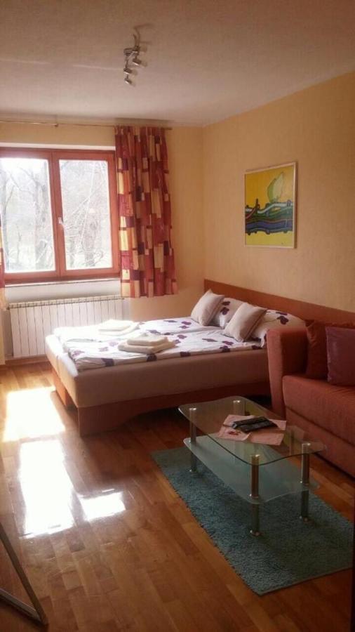 Gaby Apartment-Center Of Plitvička Jezera Екстериор снимка